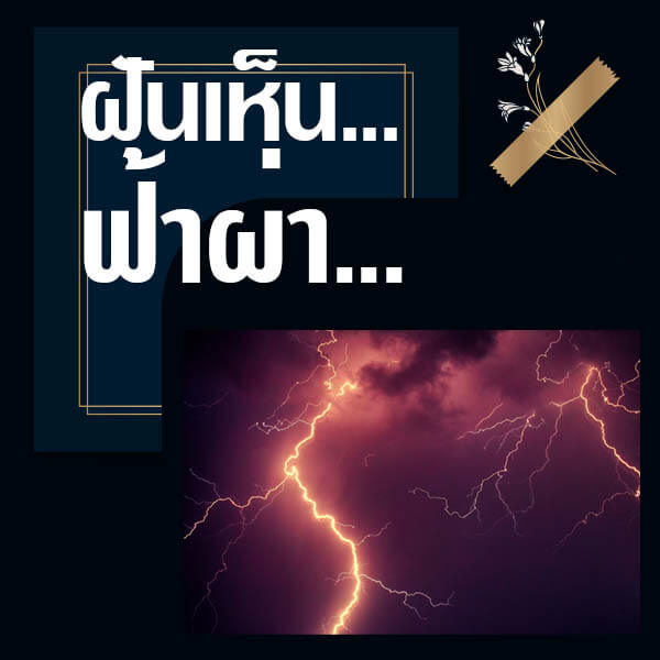 เลขเด็ดvip
