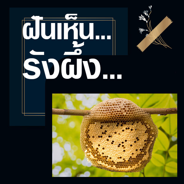 หวยออนไลน์