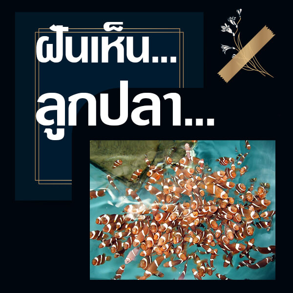 เลขดัง