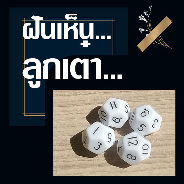 เลขเด็ดรายวัน