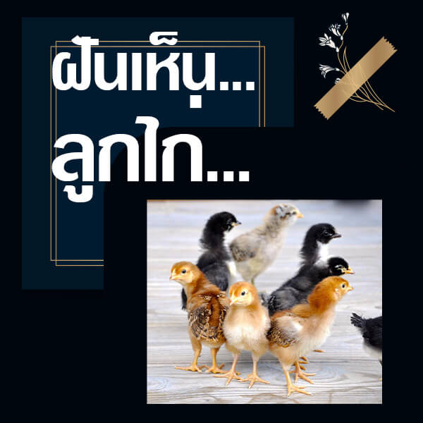 หวย