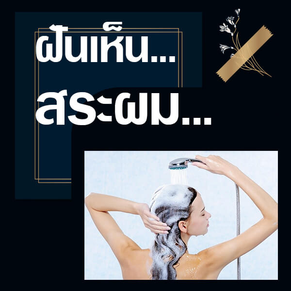 หวยไทยรัฐ
