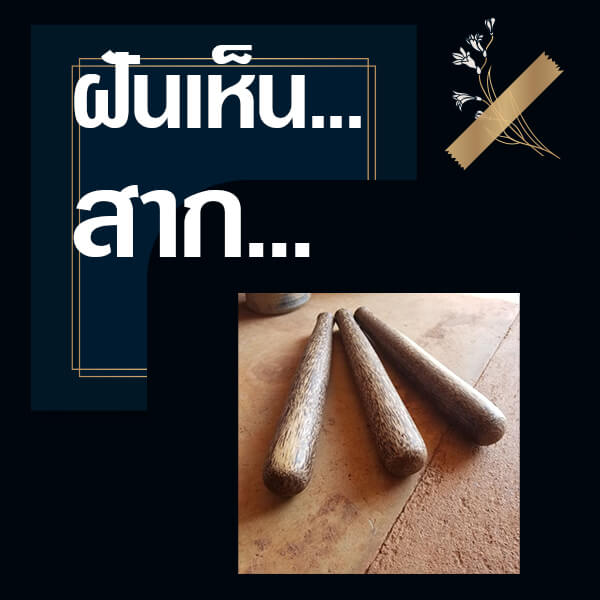 ทำนายฝันเลขเด็ด แม่นน ฟรี