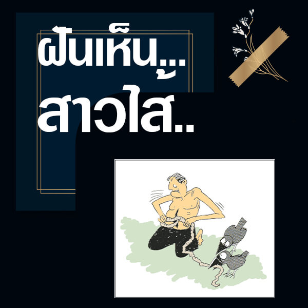 เลขเด็ดvip