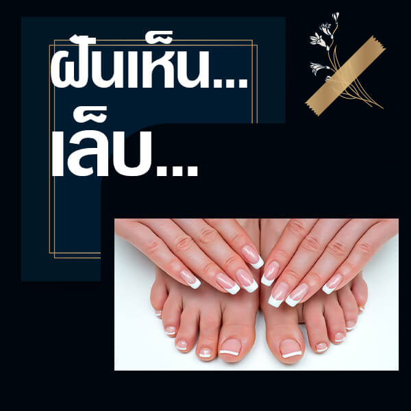 เว็บหวย