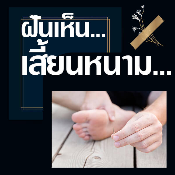 เว็บหวย