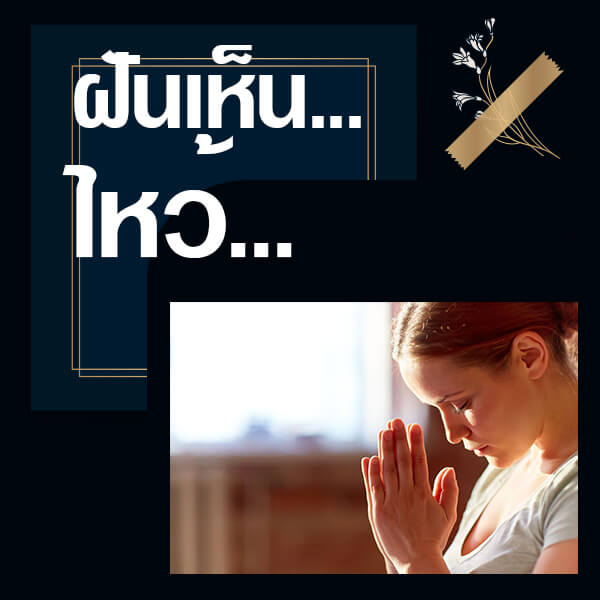 เลขเด็ดvip