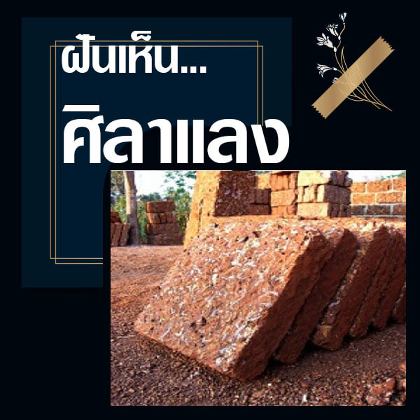 แทงหวย 24 ชั่วโมง