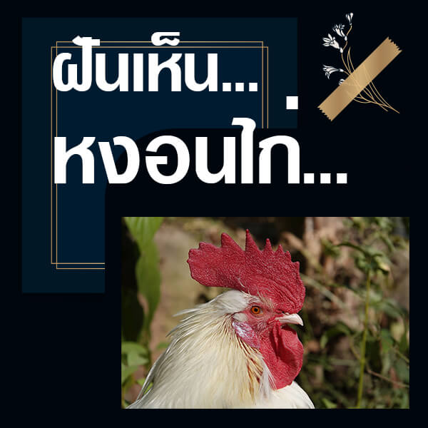 เว็บหวย