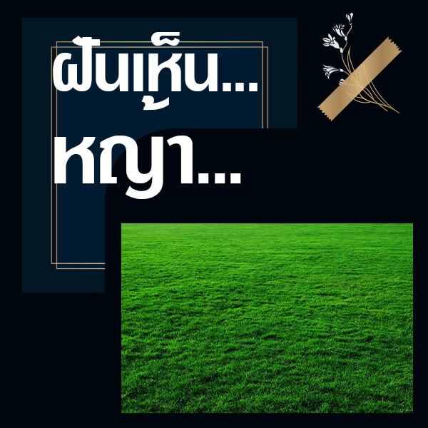 หวยออนไลน์