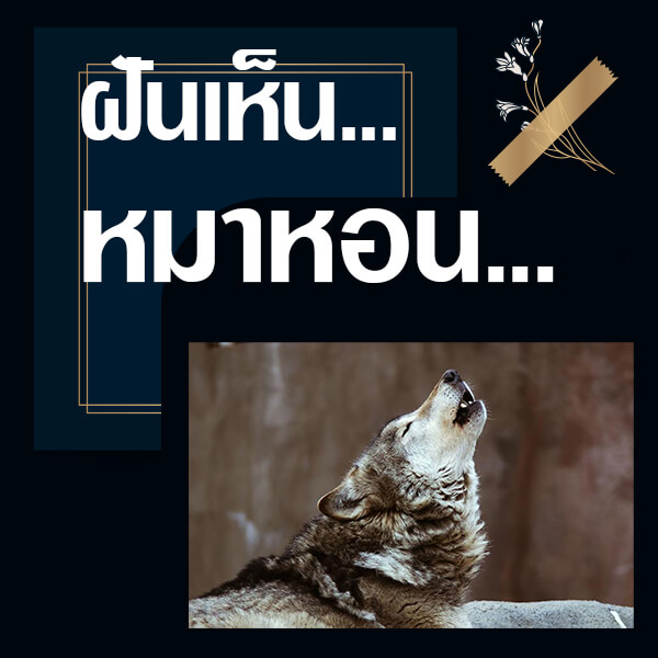 ทำนายฝันเลขเด็ด แม่นน ฟรี
