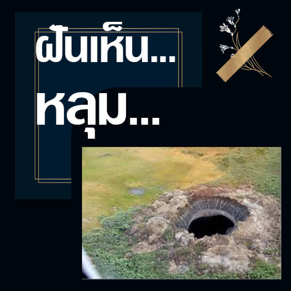 ทำนายฝันเลขเด็ด แม่นน ฟรี