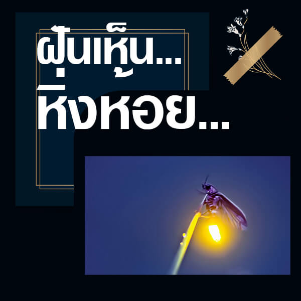 เลขเด็ดvip
