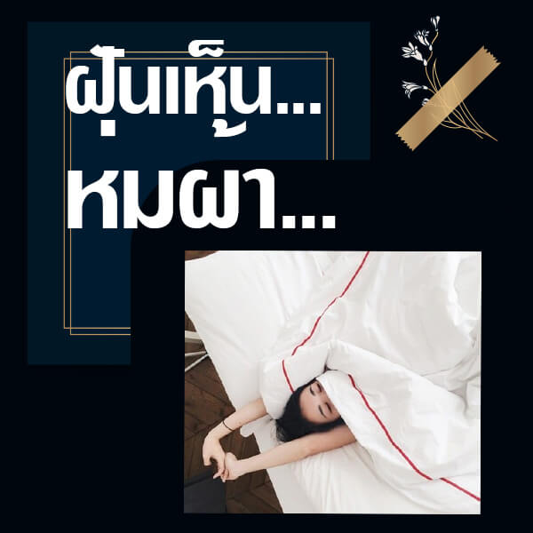 เว็บหวย