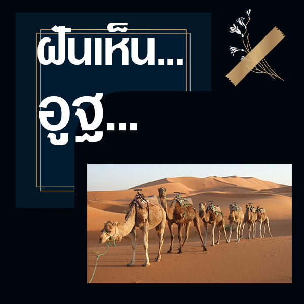 หวยออนไลน์