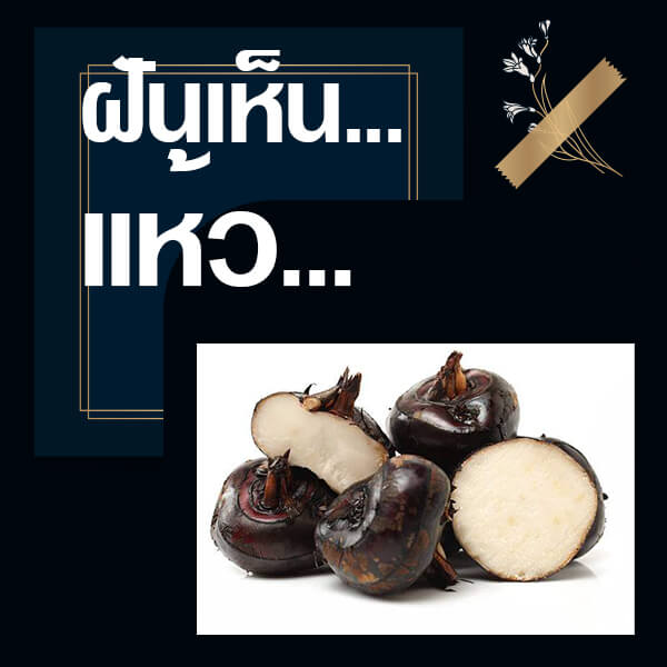 หวยรัฐบาล