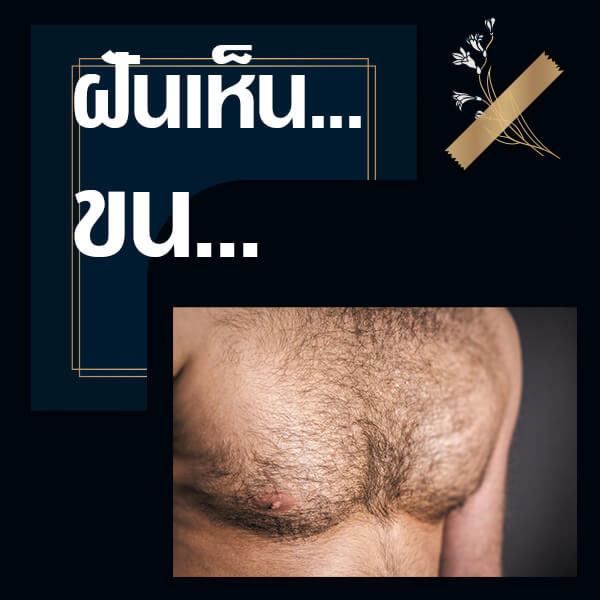 หวยออนไลน์