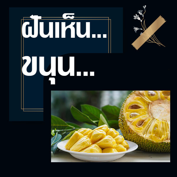 แทงหวย 24 ชั่วโมง