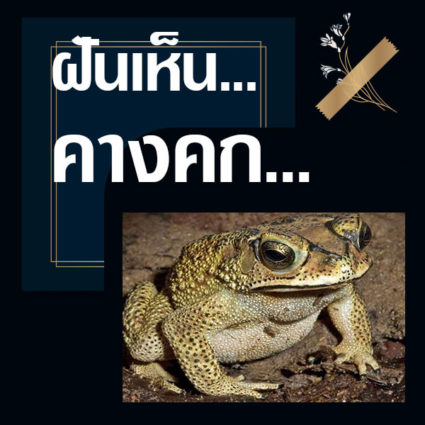 แทงหวยออนไลน์