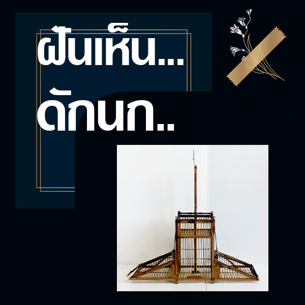 หวย ทำนายฝันเห็นดักนก