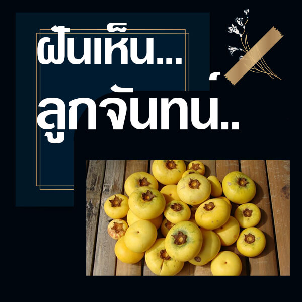 แทงหวยออนไลน์