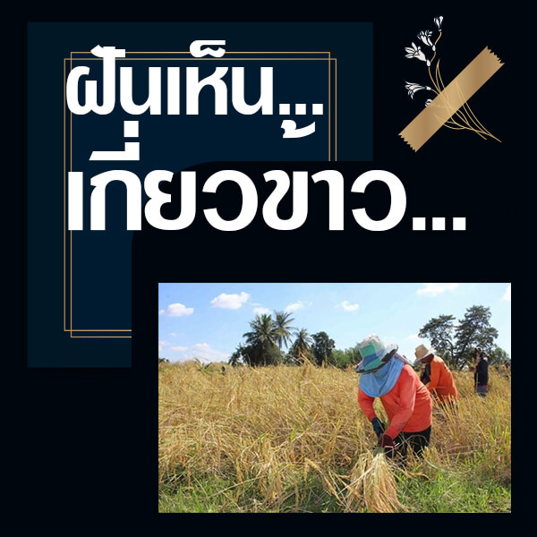 เว็บหวย