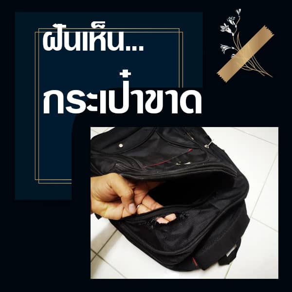 หวยรัฐบาล ทำนายฝันเห็นกระเป๋าขาด