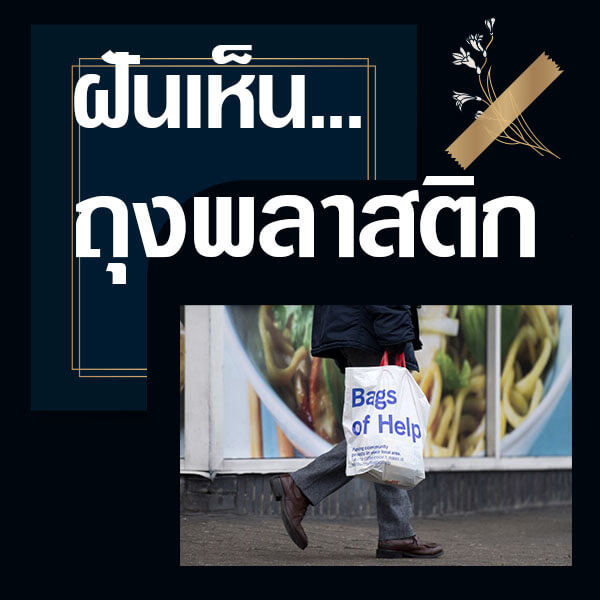 แทงหวย 24 ทำนายฝันเห็นถุงพลาสติก