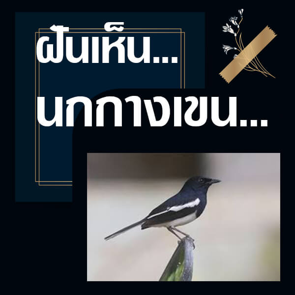 หวย ทำนายฝันเห็นนกกางเขน