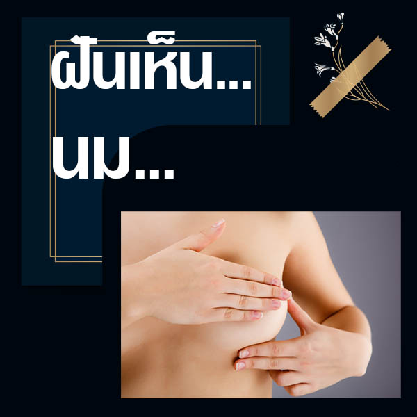 แทงหวยง่าย ๆ ทำนายฝันเห็นนม