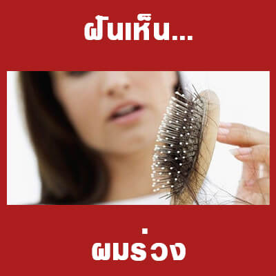 หวย ทำนายฝันว่าผมร่วง