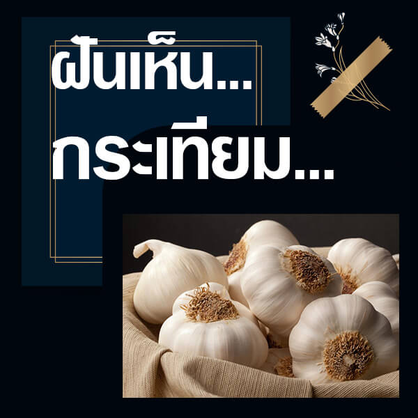 เว็บหวย ทำนายฝันเห็นกระเทียม