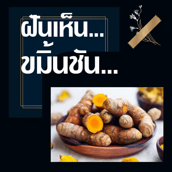 เว็บหวย ทำนายฝันเห็นขมิ้นชัน