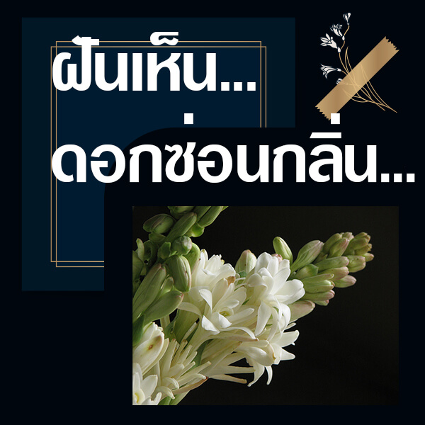 เว็บหวย ทำนายฝันเห็นซ่อนกลิ่น