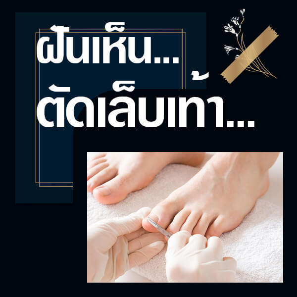 เว็บหวย ทำนายฝันเห็นตัดเล็บ