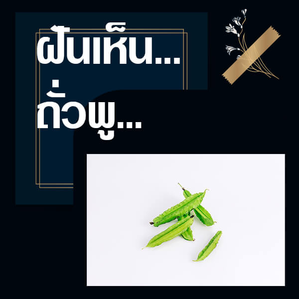 หวย ทำนายฝันเห็นถั่วพู