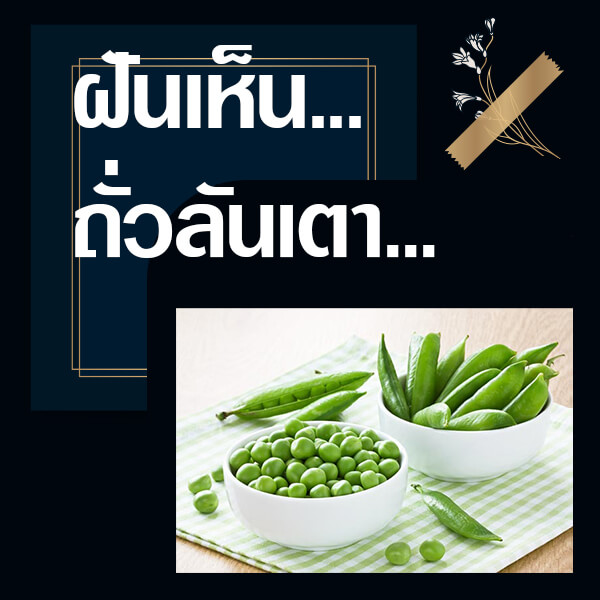 เลขเด็ดvip ทำนายฝันเห็นถั่วลันเตา