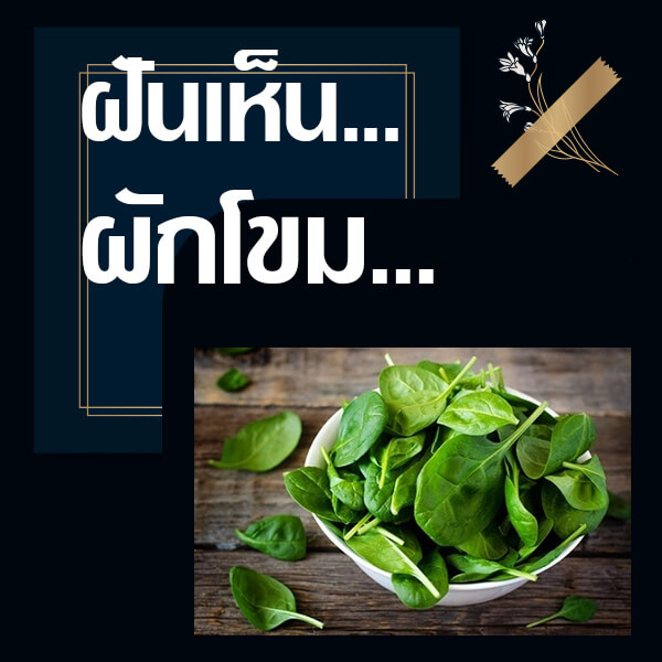 แทงหวย 24 ทำนายฝันเห็นผักโขม