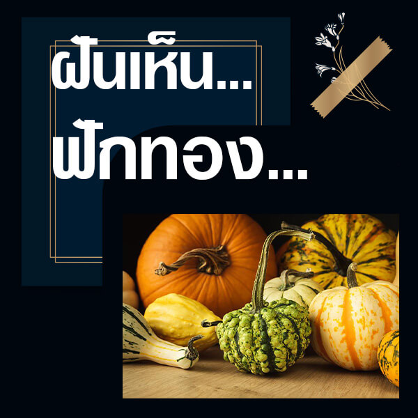 เว็บหวย ออนไลน์ ทำนายฝันเห็นฟักทอง