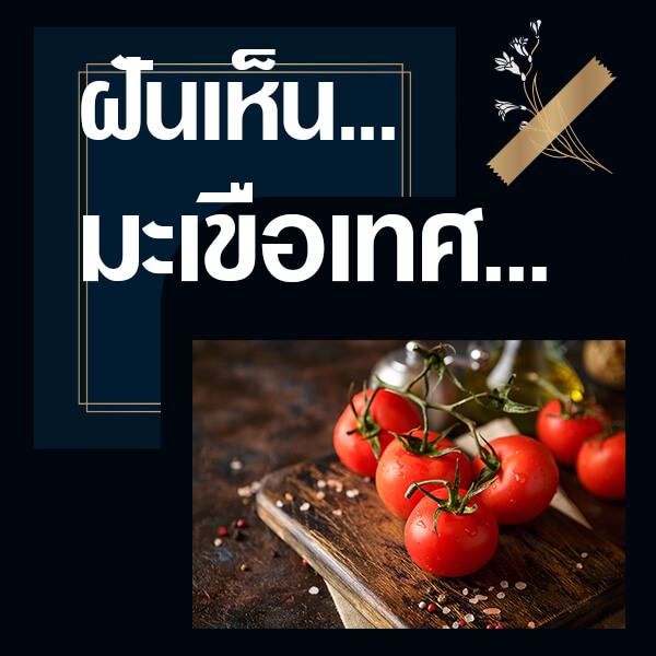 แทงหวย 24 ทำนายฝันเห็นมะเขือเทศ