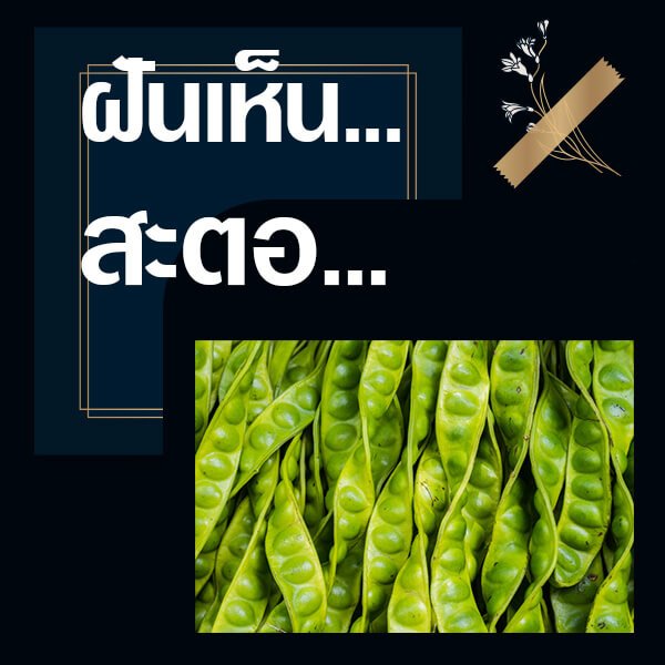 หวย ทำนายฝันเห็นสะตอ