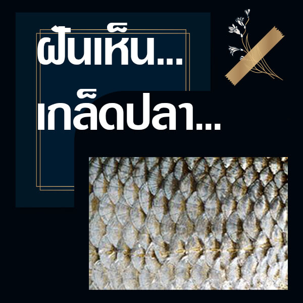 หวย ทำนายฝันเห็นเกล็ดปลา