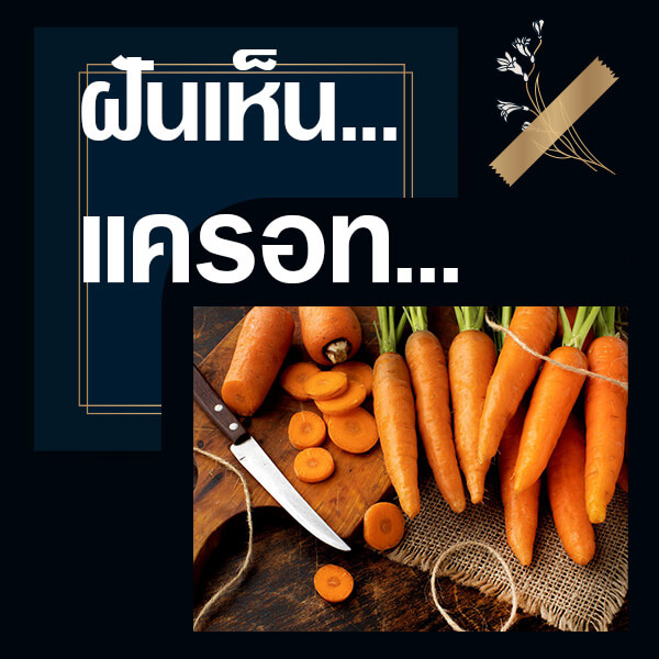 เว็บหวย ทำนายฝันเห็นแครอท
