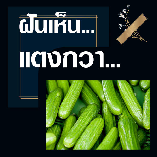 เว็บหวย ทำนายฝันเห็นแตงกวา