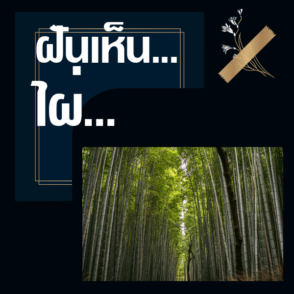 หวยวันนี้ ทำนายฝันเห็นไผ่