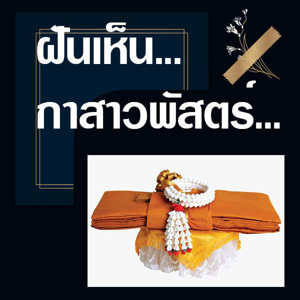 เลขเด็ดvip ฝันเห็นกาสาวพัสตร์