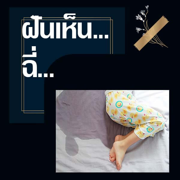 เลขเด็ดvip ทำนายฝันเห็นฉี่