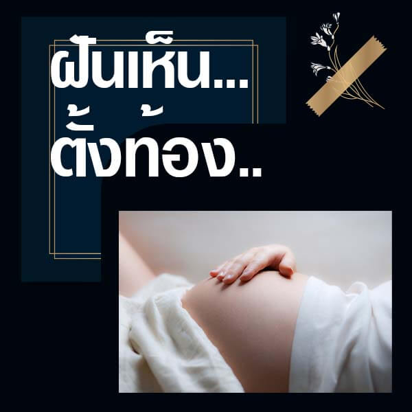 เว็บหวย ทำนายฝันเห็นตั้งท้อง