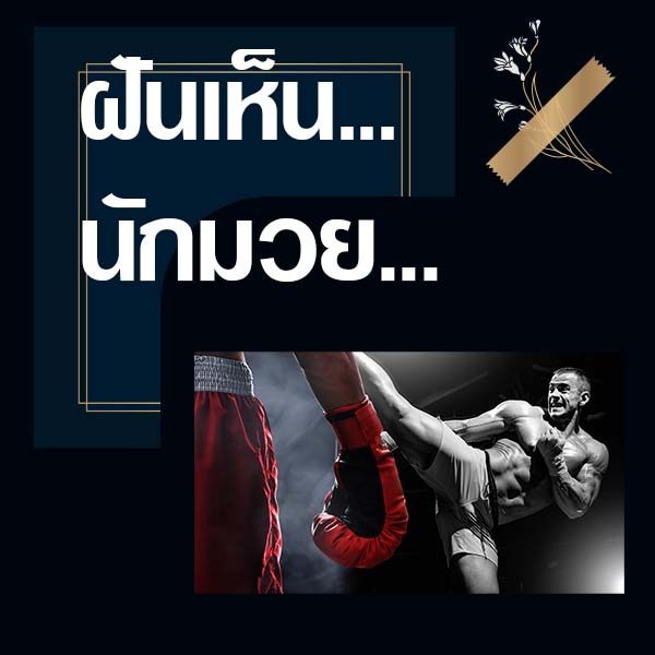 หวย ทำนายฝันเห็นนักมวย