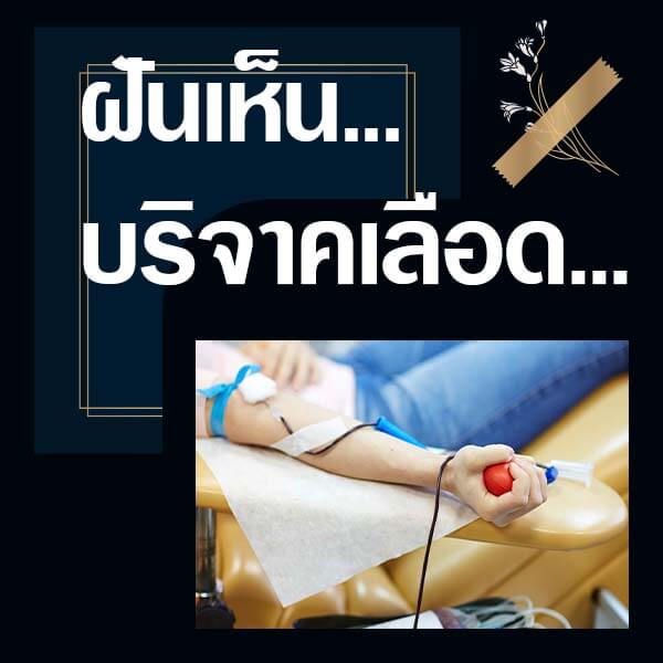 เว็บหวย ฝันเห็นบริจาคเลือด